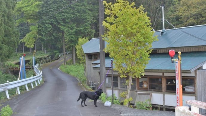 さあ、天気もいいし、草刈りがんばるぞ!