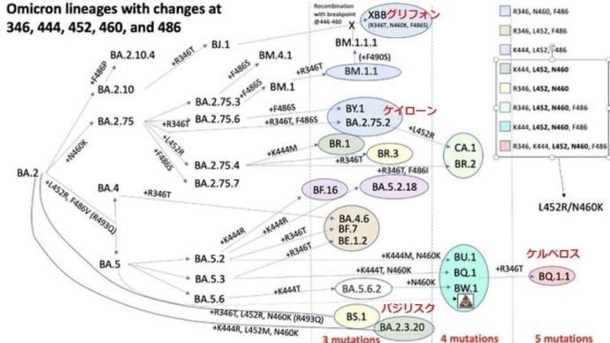 ノババックスの新型コロナ3価ワクチンが出来た組み換え蛋白質ワクチンです。