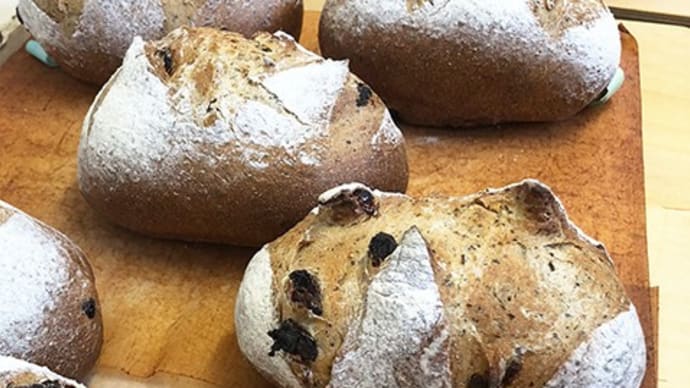 紅茶で仕込むレーズン入りフランスパン