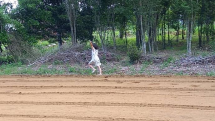 6才の娘ちゃんからの、金言。