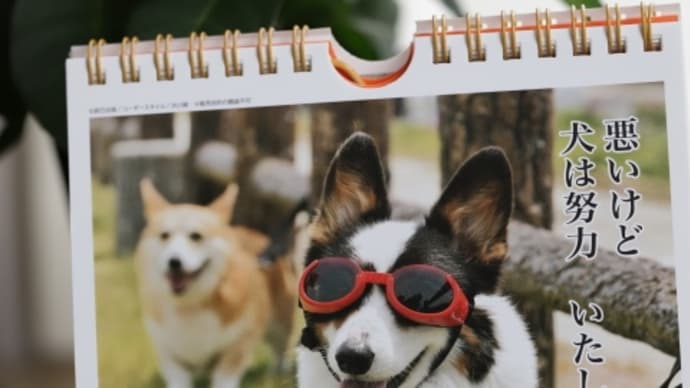 面白犬川柳カレンダー