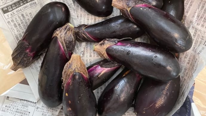 朝採り「ナス」農薬不使用🍆（浜松市産）✨約800ｇ入　箱60サイズ