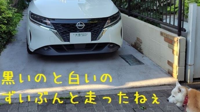 移動手段を手に入れました