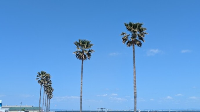 大きく空振り