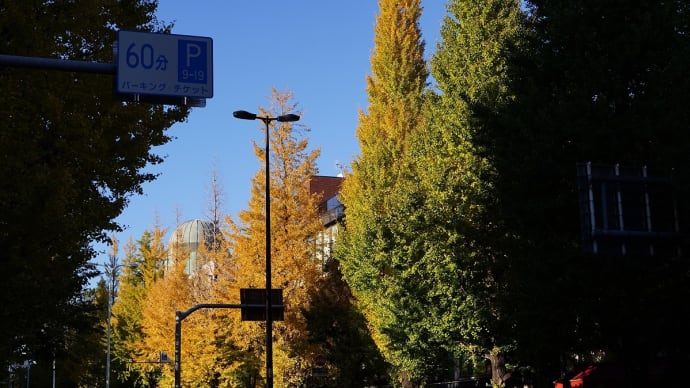 国立科学博物館附属自然教育園