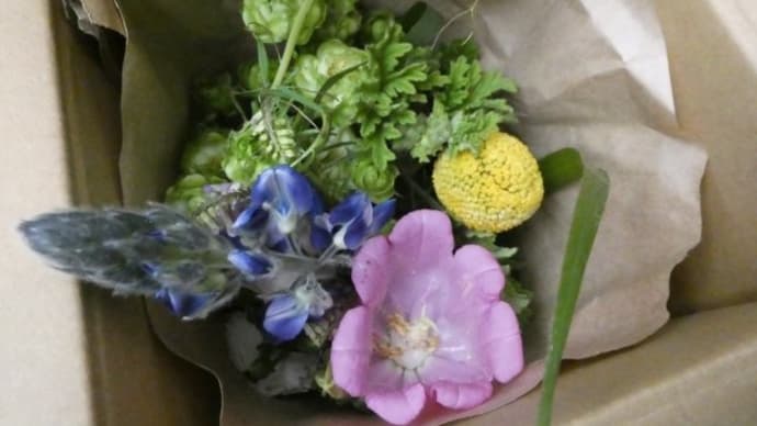 4月のお花は 野原のお花! 可憐に強く♬