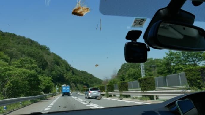 またフンガイに遭う(閲覧注意)*まねきのえきそば