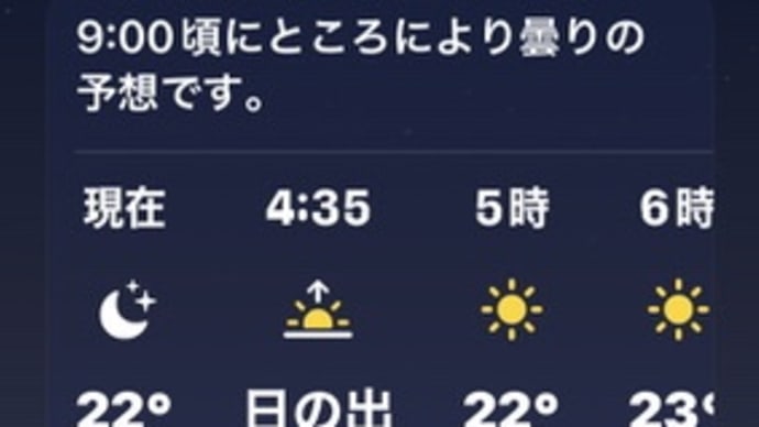 芙蓉の花