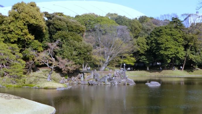 さっそく桜を楽しんできました ~小石川後楽園~