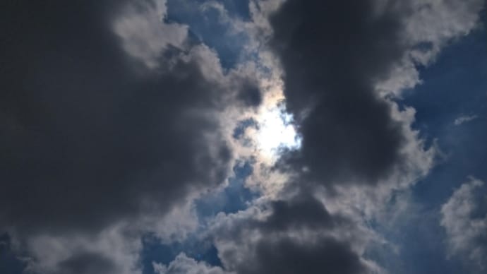 今日も、色々とやっぱし非常事態の危機管理能力が欠如してるのかもね!相変わらず