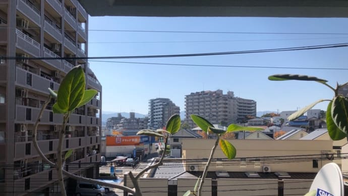 本日の鍼療
