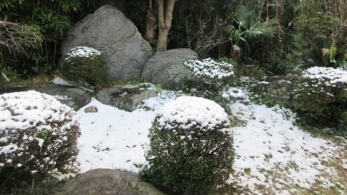 初雪でやっと雪景色らしくなったね 200218