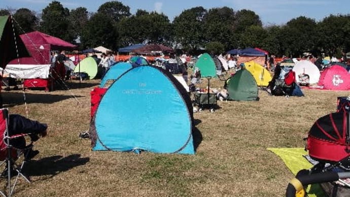 ピンフェス2020