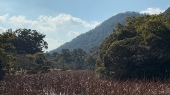公園散歩