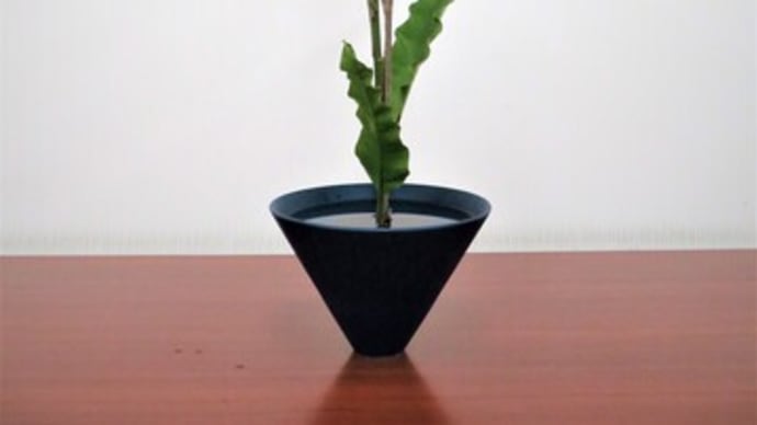 フジの幹の曲線を生かして、生花・新風体・・可愛い紫の花が咲きます
