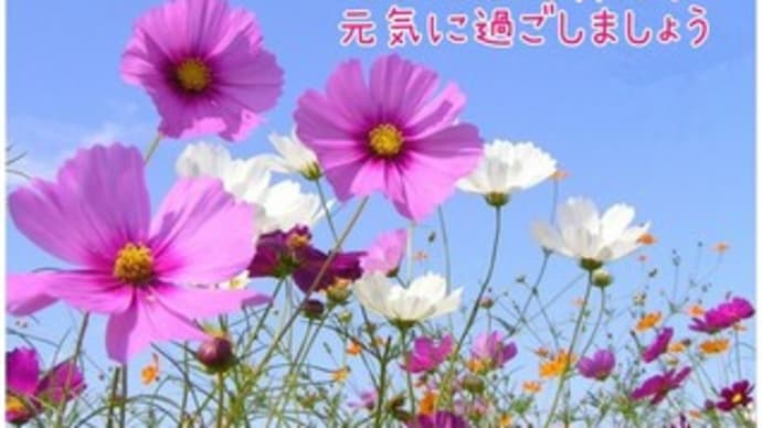 妙なメールにご用心くださいね