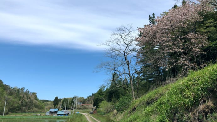 商品と風景と。