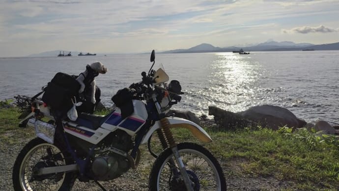セロー225に久しぶりに乗った