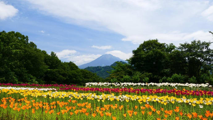 とっとり花回廊 秘密の花園最終章 動画有り