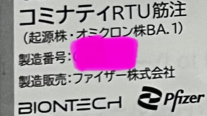 ピクニックをやりたくて…秋。