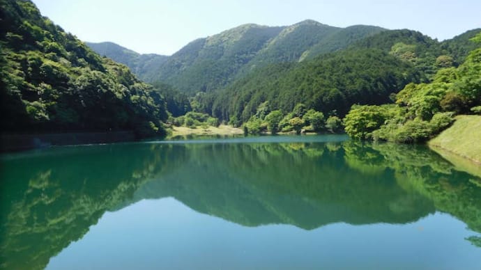 薬王寺水辺公園