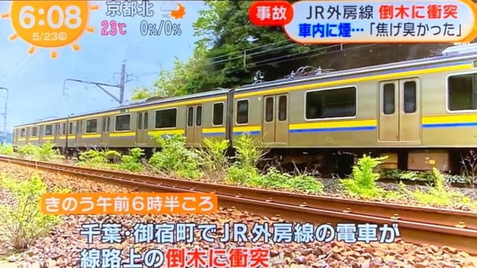 千葉の国鉄外房線の電車にヴォケの倒木が打つかりやがる