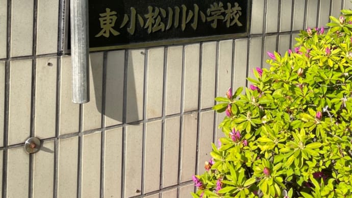 元気だよぉ~~~ん