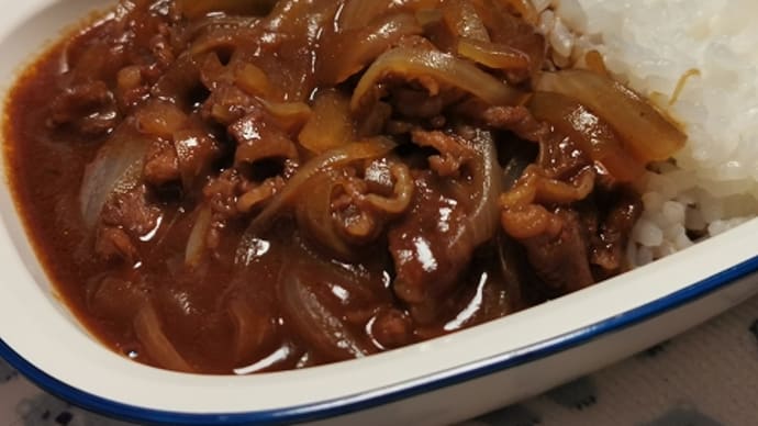 「ハヤシライス」の夕ご飯