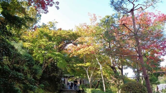 奥嵯峨野 化野念仏寺