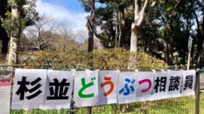 善福寺公園 防災デイキャンプに参加しました!