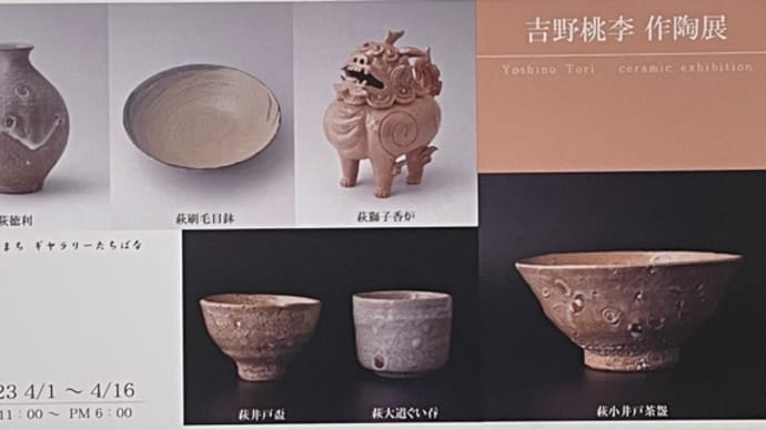 晩酌の友 556 吉野桃李