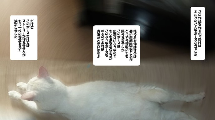 ネコまんがを作るということは。。。