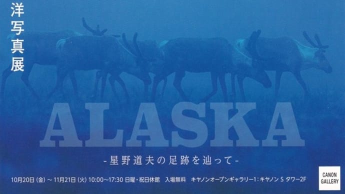 「大竹英洋写真展」& 芝浦中央公園