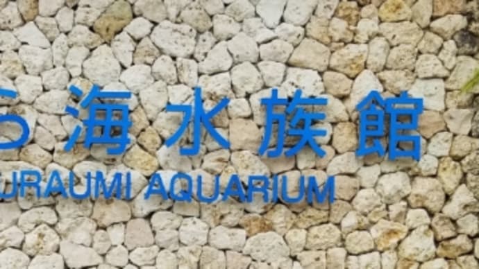 〈ホット〉沖縄美ら海水族館 (国頭郡本部町) ~ 「ジンベエザメ」でっけぇ~! ~