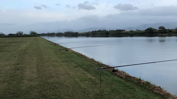 9月26日の鯉釣り