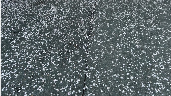 今日いち-2025年4月14日