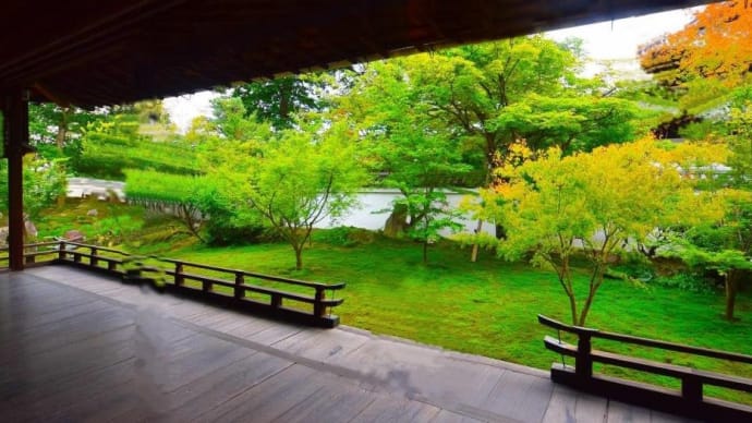 Vol.142 幻ではなかった禅王寺