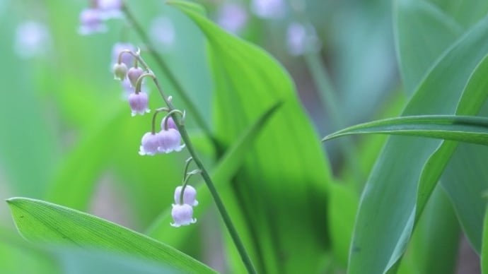 お日さまが恋しい 今日この頃 。。。