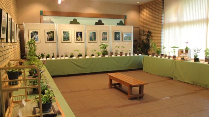 千葉県立青葉の森公園で山野草と写真展を開催中です。