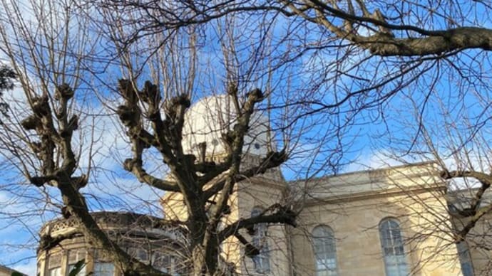 世界で一番古い天文台の紅葉　パリ　フォーブル サンジャック