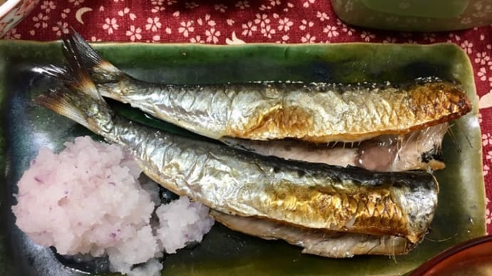 今日は魚を