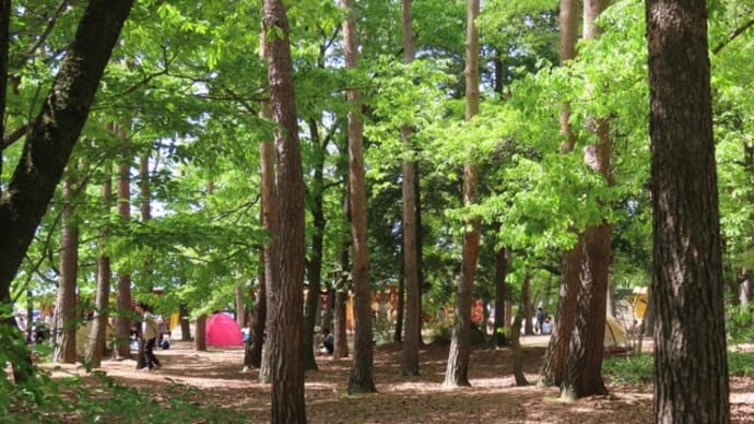 信州スカイパーク（長野県松本平広域公園）散策