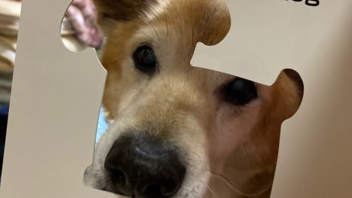 こどもの日 5/5