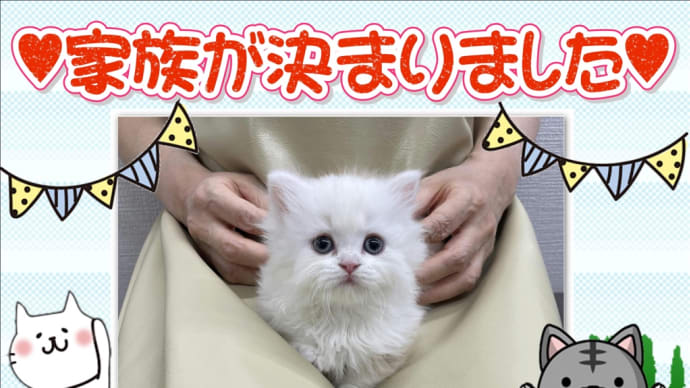 新しいご家族様が決まりました‼️