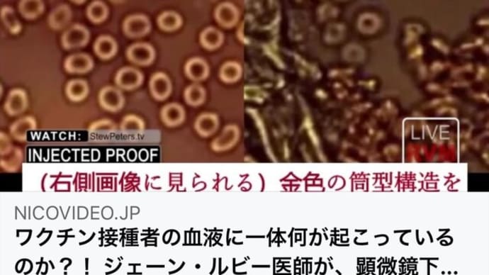 ワク接種者の血液に起こっていること