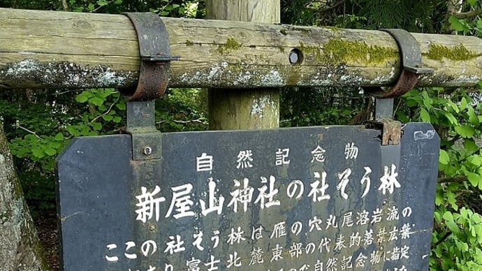 思い立ったら