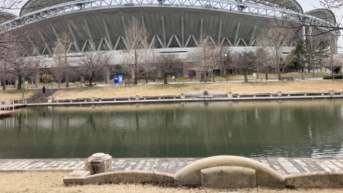 散歩:豆太とスポーツ公園へ⛲️