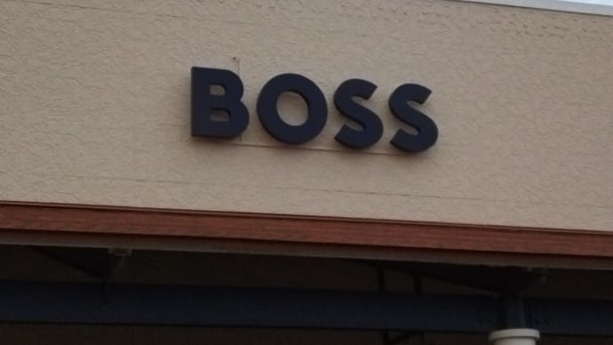 3/22のボス(BOSS) ミニチュア_トイプードルミックス犬