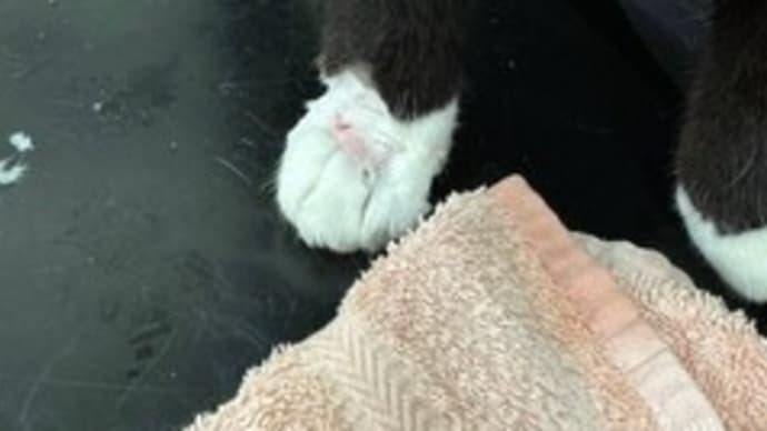 気が滅入るときは