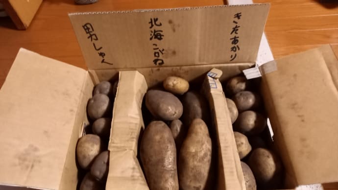北海道産のじゃが芋頂きました